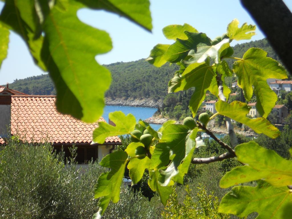 Apartments Ida Sveta Marina Drenje  Exterior photo